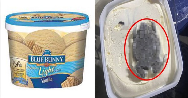 최근 미국 유명 아이스크림 회사 제품에서 거대한 두꺼비 사체가 나왔다. / 사진=트위터 갈무리